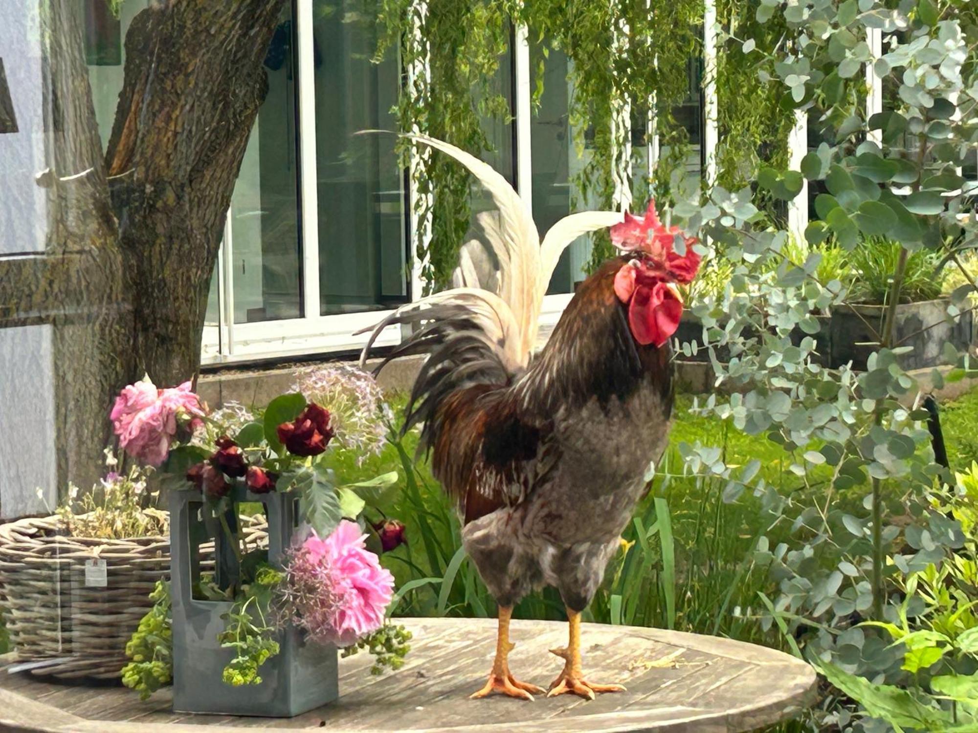 Ferienwohnung Piesbach Nalbach Esterno foto